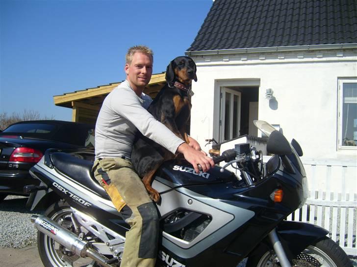 Volvo C70 T5 CABRIOLET  Evt Bytte billede 13