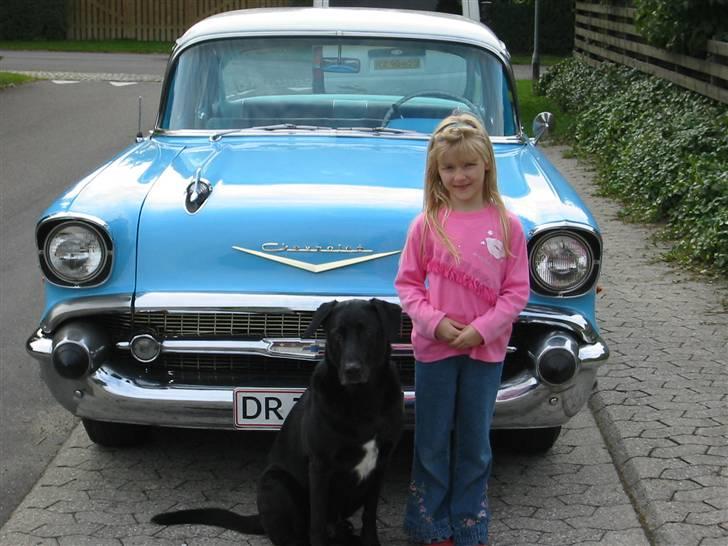 Chevrolet Bel Air  - Stolt pige som fik en tur i Bel Airen sammen med vagthunden. billede 6