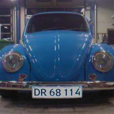 VW bobbel 113