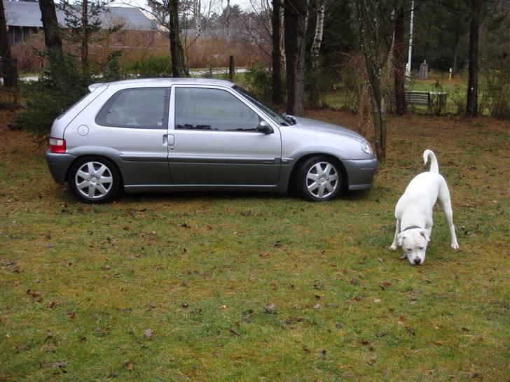Citroën saxo #SOLGT# billede 9