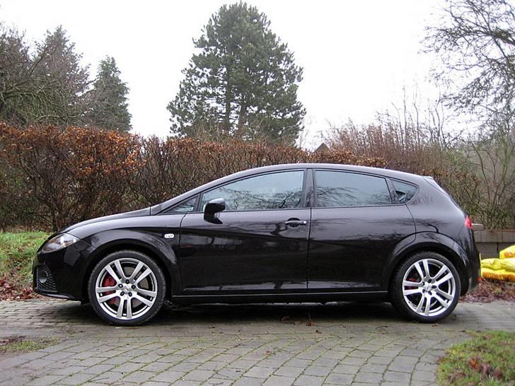 Seat Leon Cupra 2 - Har lige fået en hurtigt gang voks, skinner som katteskidt.... billede 3