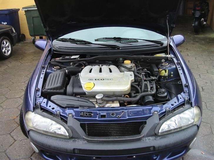 Opel Tigra (solgt) billede 10