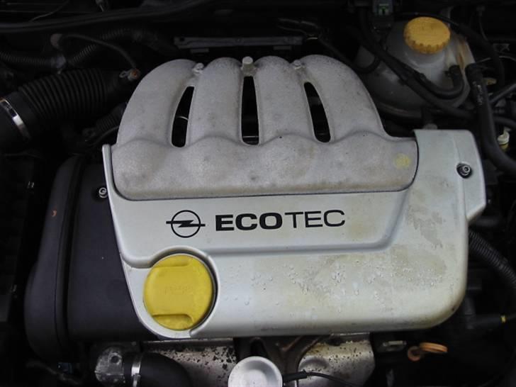 Opel Tigra (solgt) billede 11