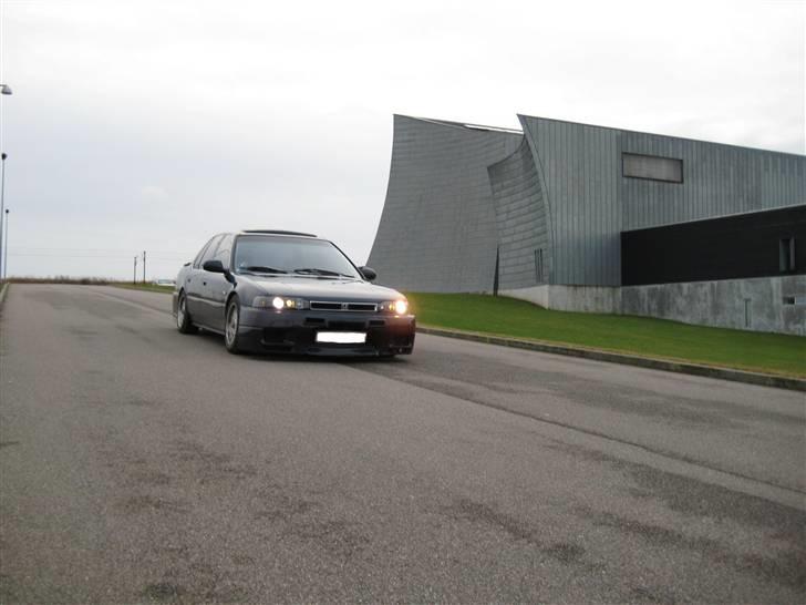 Honda Accord * Sure Ulla billede 1