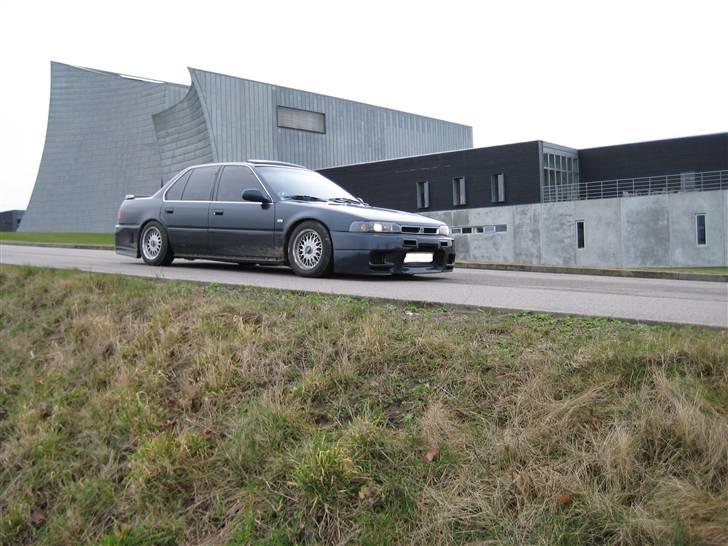 Honda Accord * Sure Ulla billede 2