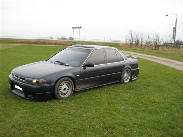 Honda Accord * Sure Ulla billede 6