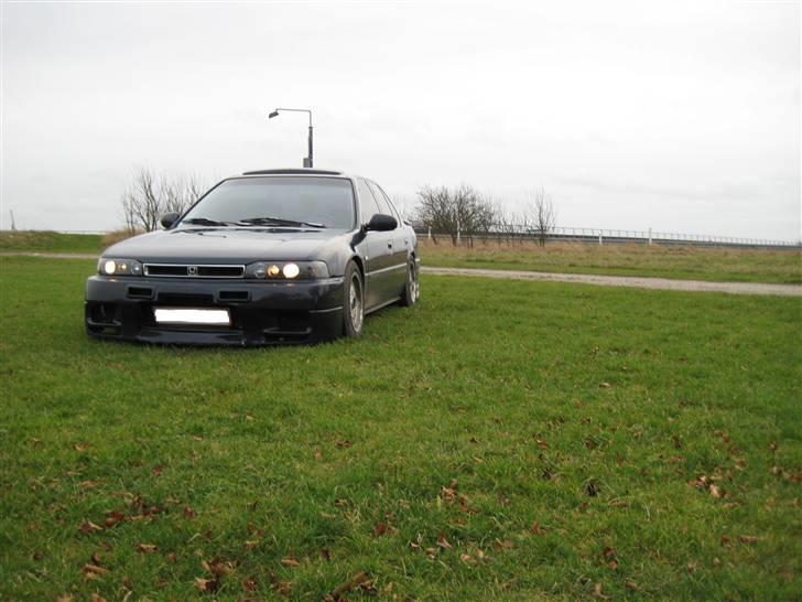 Honda Accord * Sure Ulla billede 7