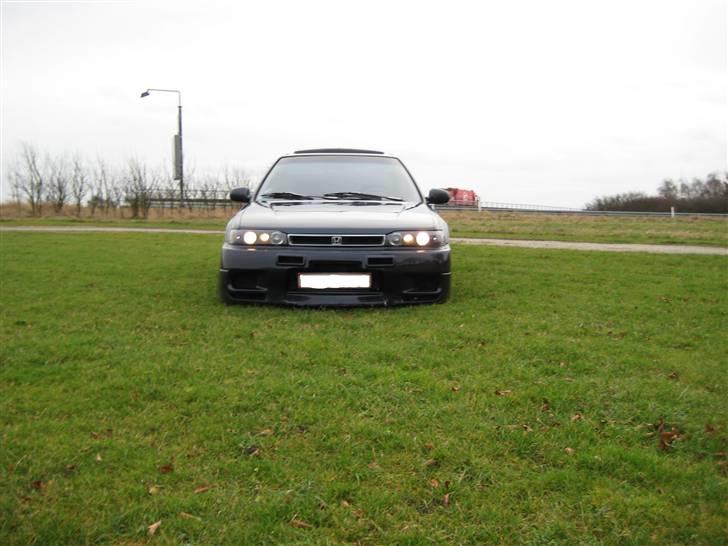 Honda Accord * Sure Ulla billede 8