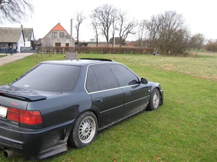 Honda Accord * Sure Ulla billede 9