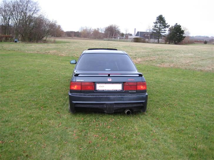 Honda Accord * Sure Ulla billede 10