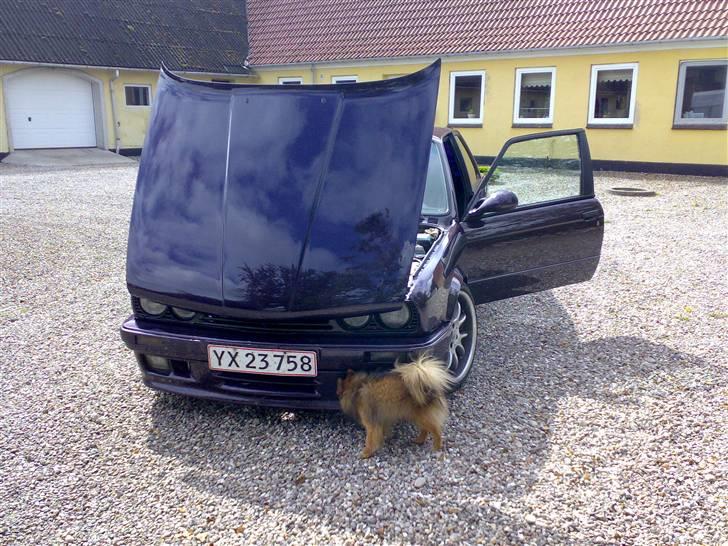 BMW E30 325i SOLGT billede 11