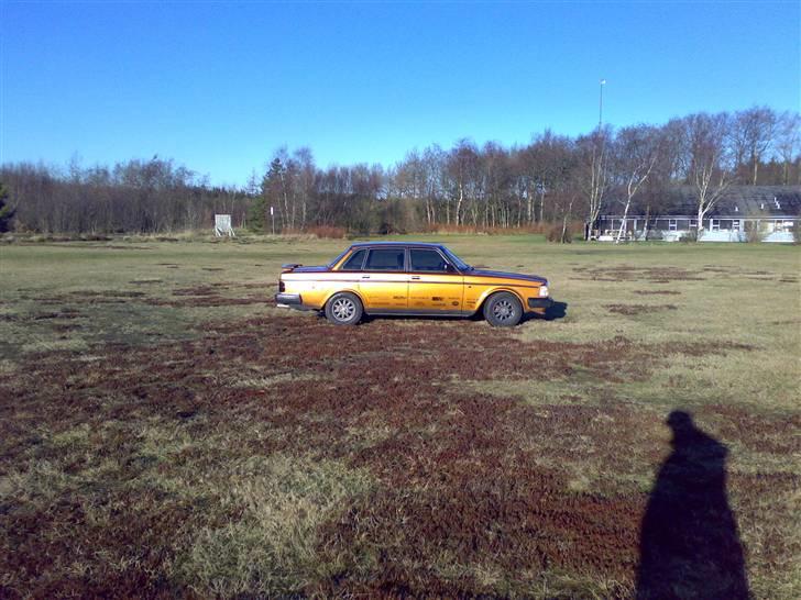 Volvo 240 (solgt) billede 12