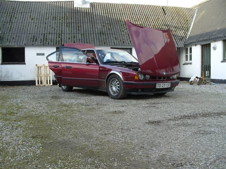 BMW 520 i 24v billede 6