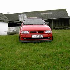 Seat ibiza SOLGT