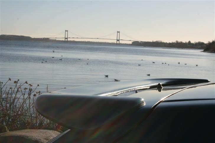 Citroën Saxo VTS 16v - Foto: Anders Gervig billede 5