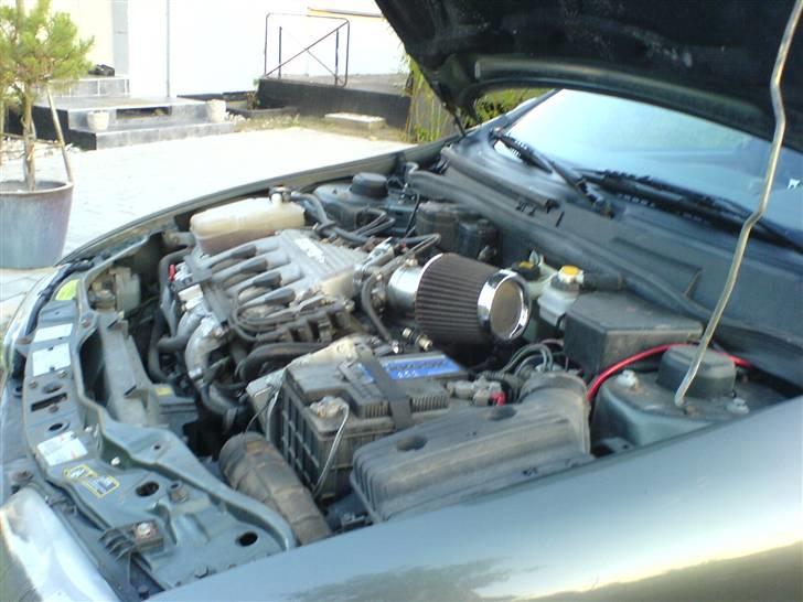 Fiat brava billede 2