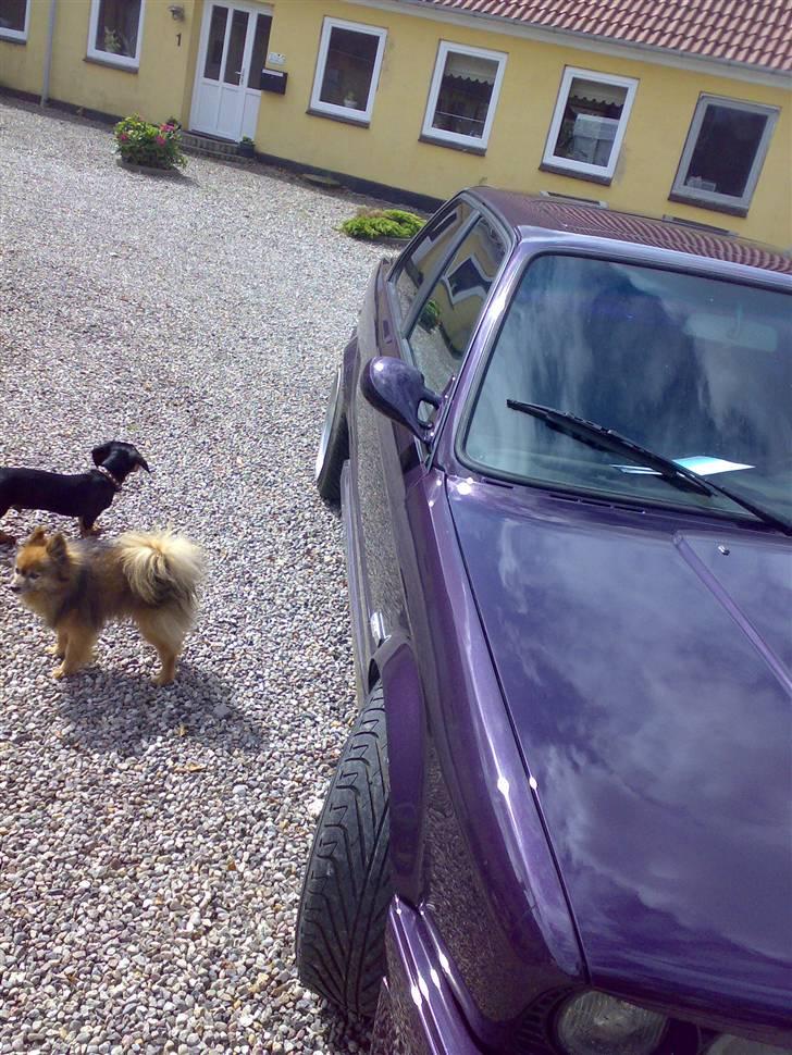 BMW E30 325i SOLGT billede 12