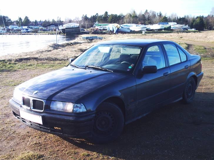 BMW 316i e36  billede 3