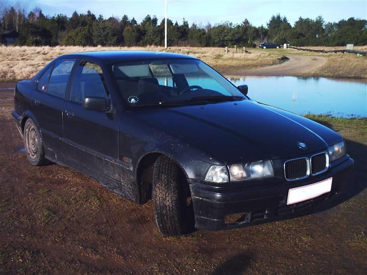 BMW 316i e36  billede 5