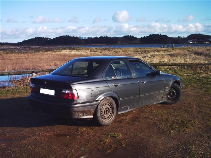 BMW 316i e36  billede 6