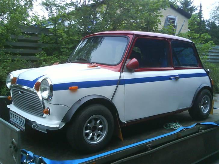 Austin-Morris mascot billede 4