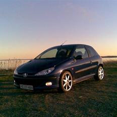 Peugeot 206 2.0 HDi 