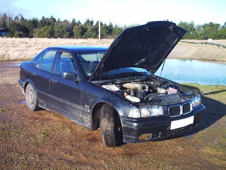 BMW 316i e36  billede 7