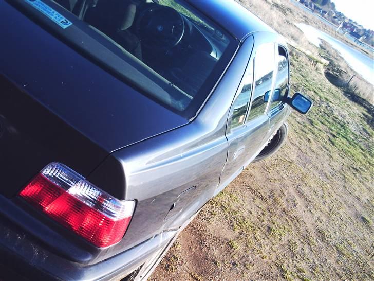 BMW 316i e36  billede 8