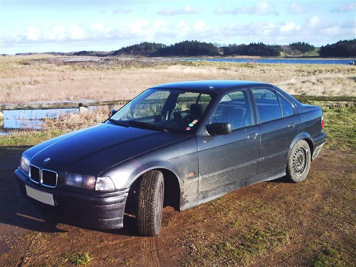 BMW 316i e36  billede 9