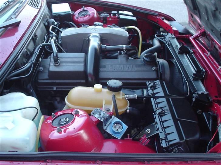 BMW 324 D (SOLGT) - endnu et billede af motorrummet billede 11
