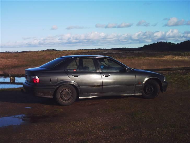BMW 316i e36  billede 10