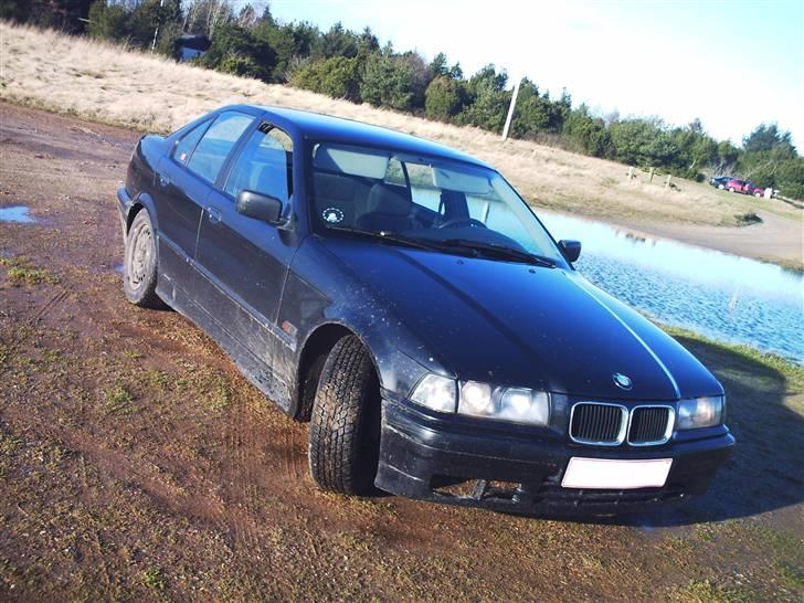 BMW 316i e36  billede 11