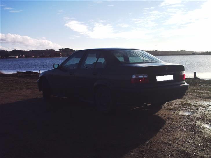 BMW 316i e36  billede 12