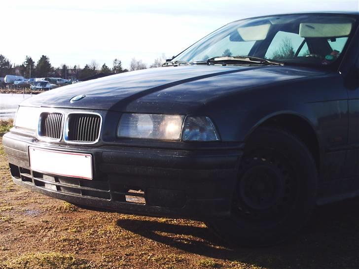 BMW 316i e36  billede 13