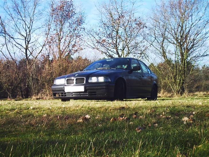 BMW 316i e36  billede 14