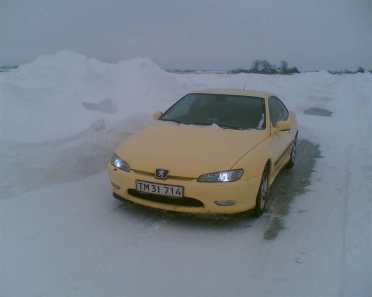 Peugeot 406 coupe 3,0 V6 billede 13