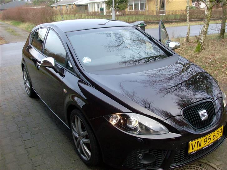 Seat Leon Cupra billede 5