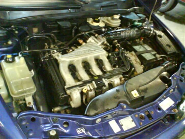 Fiat Bravo - Rent..! :P billede 11