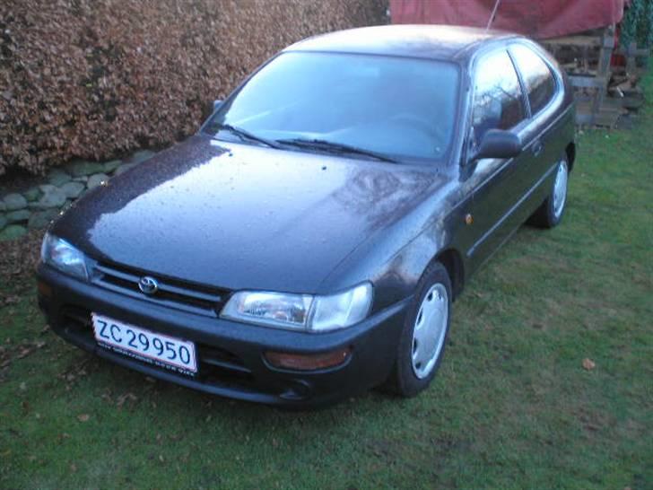 Toyota corolla billede 7