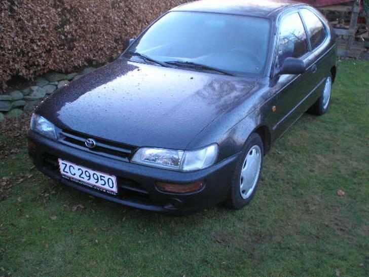 Toyota corolla billede 8