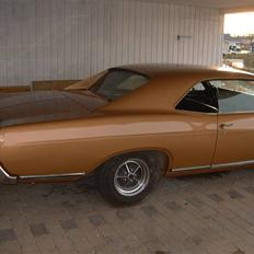 Buick skylark 