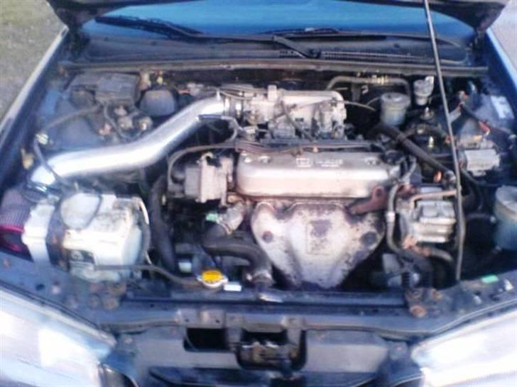 Honda Accord  (solgt) billede 3