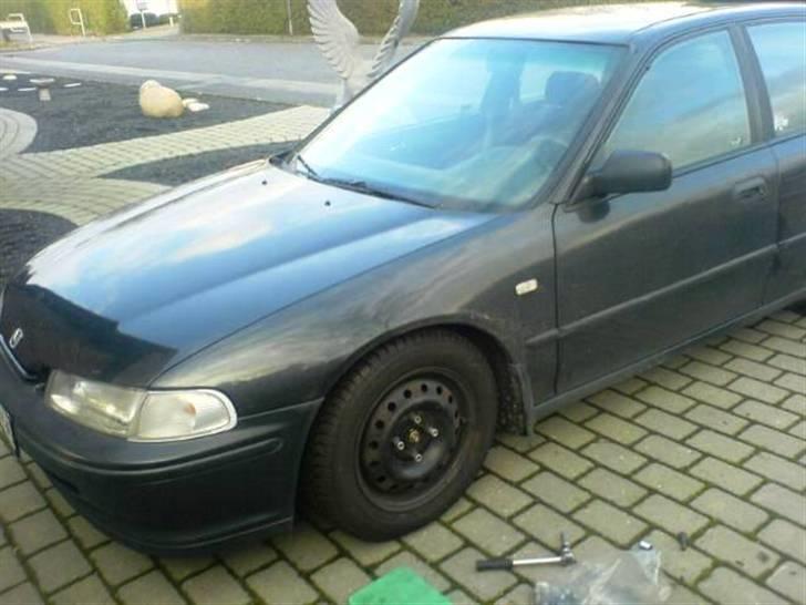 Honda Accord  (solgt) - nu med vinterdæk billede 9