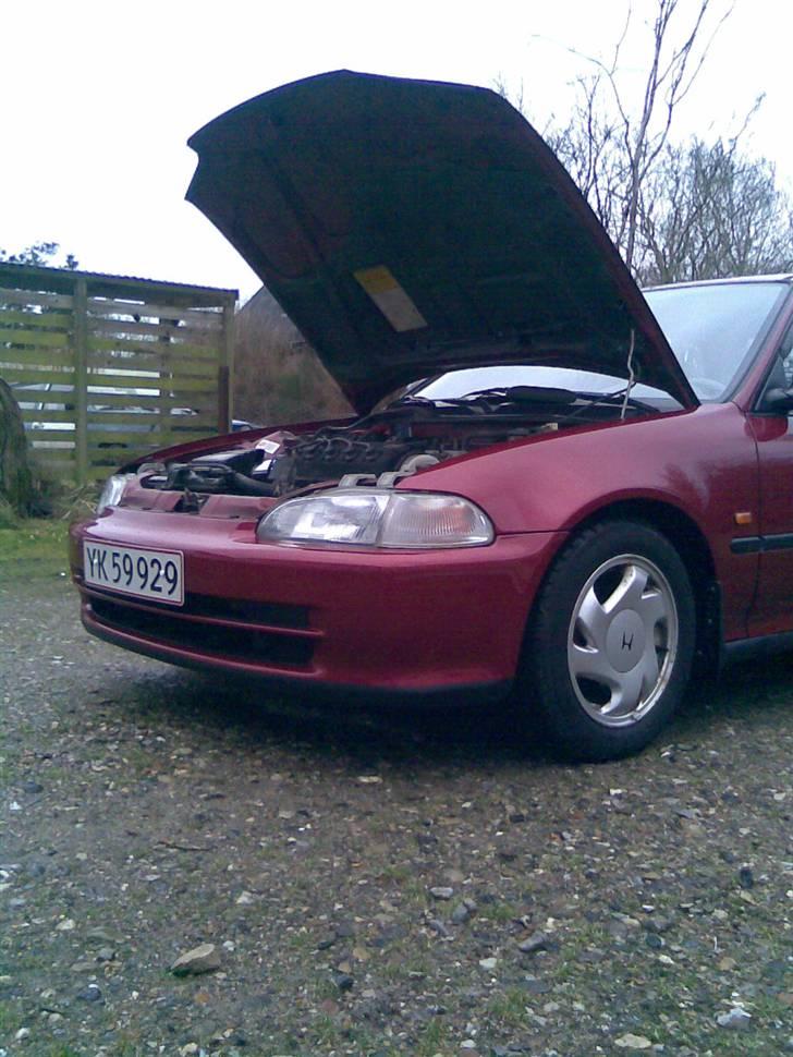 Honda Civic VTEC SOLGT billede 12