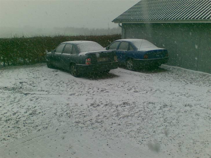 Opel vectra.A.  solgt billede 13