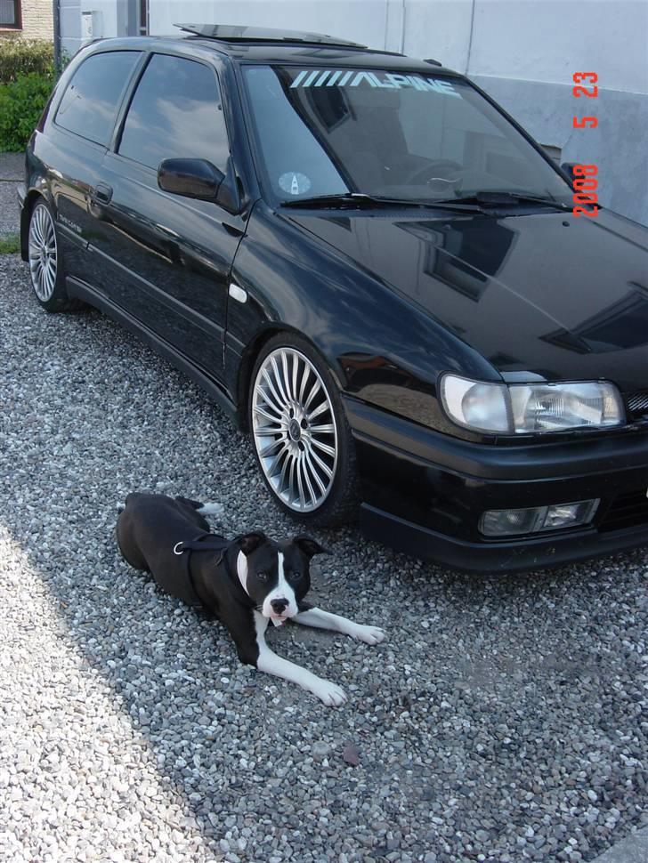 Nissan Sunny N14 1,6 16v SR *SOLGT* - Min Vagthund :-)   billede 18