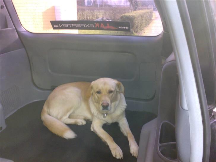 Toyota Previa>>Solgt<< billede 6