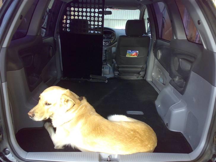 Toyota Previa>>Solgt<< billede 10