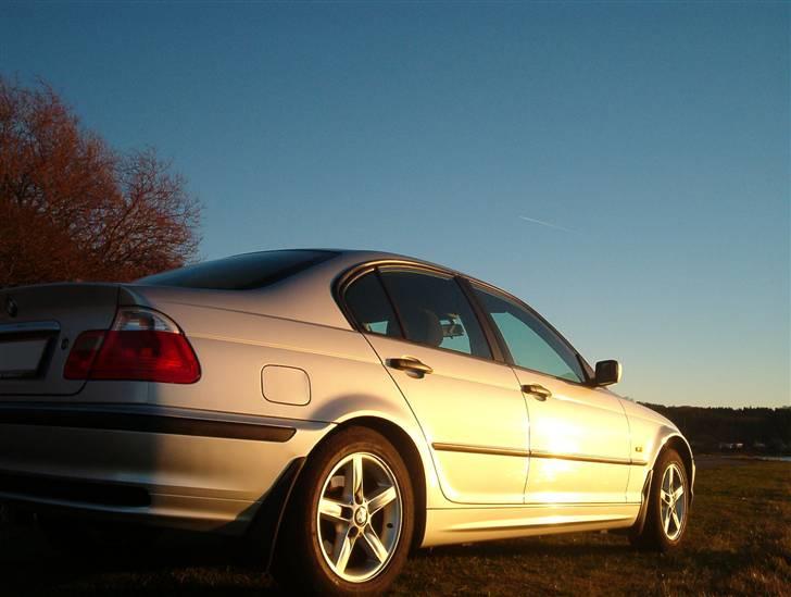 BMW E46 - Solgt billede 5