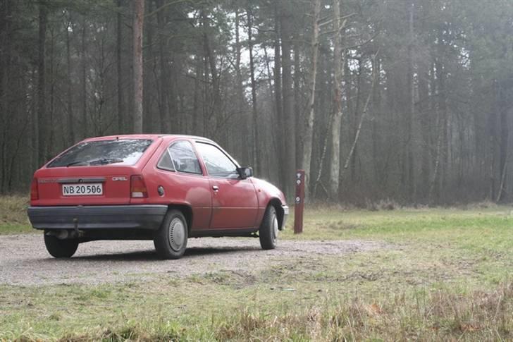 Opel | Kadett E - solgt! billede 4